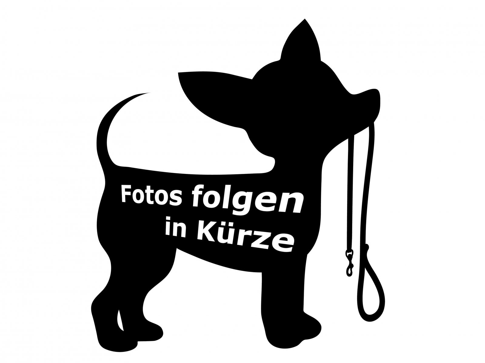 fotosfolgen