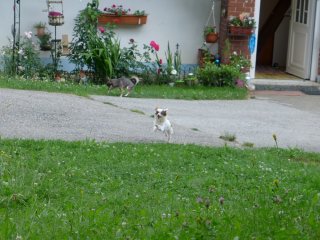 Platzhalter
